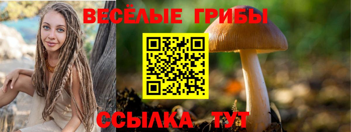 Псилоцибиновые грибы MAGIC MUSHROOMS Люберцы